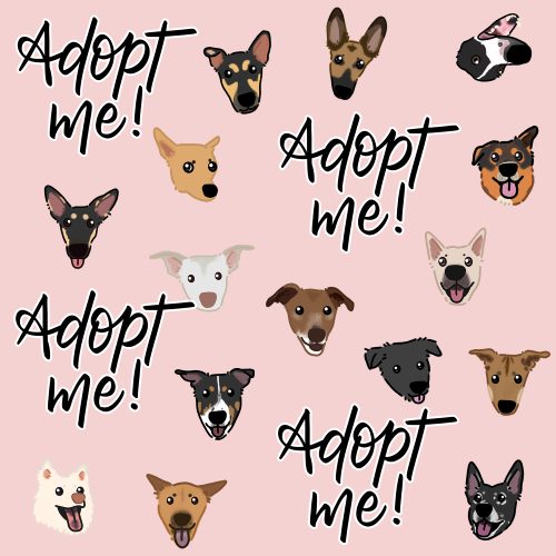 Adopt Me Bandana - Print (Discounted pricing)