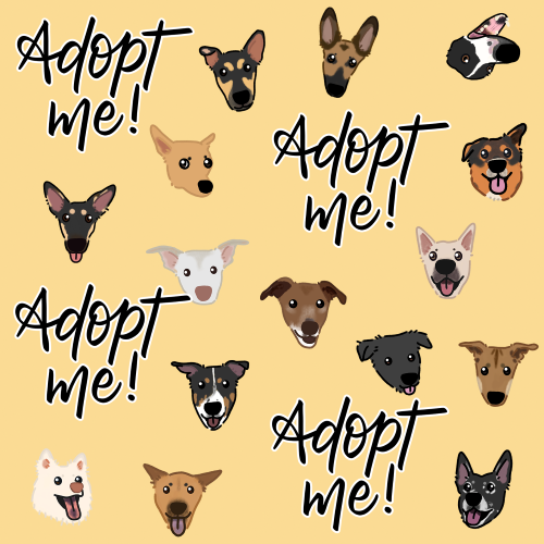Adopt Me Bandana - Print (Discounted pricing)