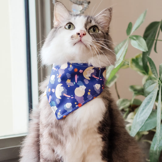 Moon Rabbit Reversible Bandana