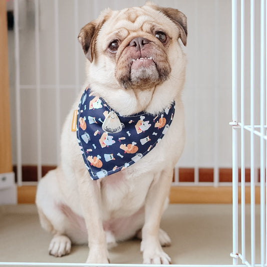 Doggo and Bone Reversible Bandana