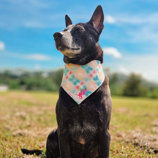 Pastel Mandala Reversible Bandana
