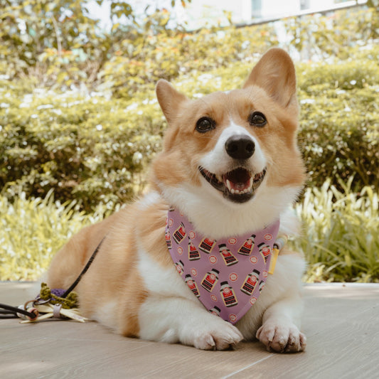 Pipagao Reversible Bandana