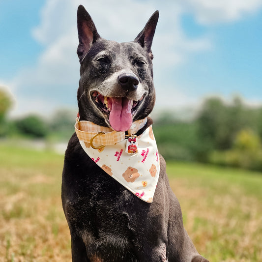 No Touching! Reversible Bandana