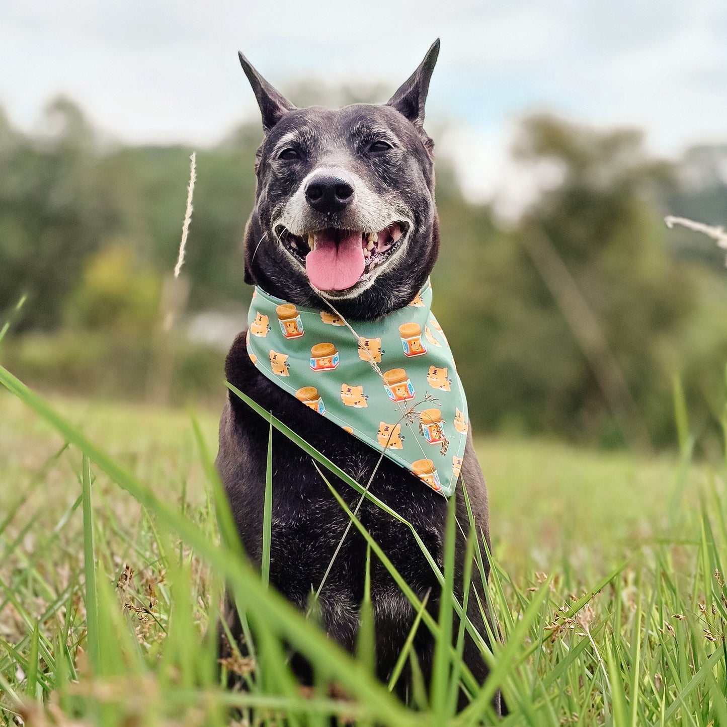 Tiger Balm Reversible Bandana