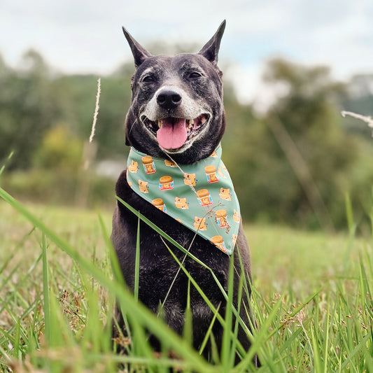 Tiger Balm Reversible Bandana