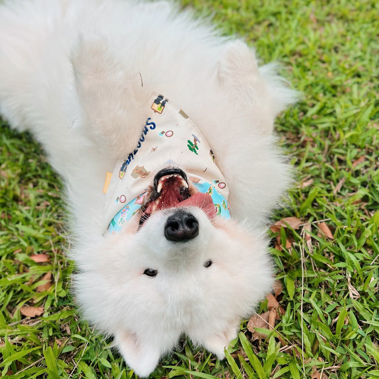 Cosy Home Reversible Bandana