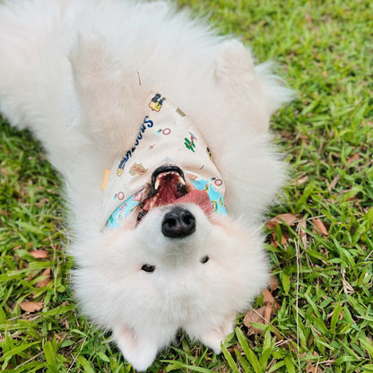 Cosy Home Reversible Bandana