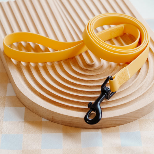 PVC Waterproof Leash (Butter Yellow) 1.5M