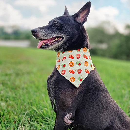 Fruits & Veggie Reversible Bandana