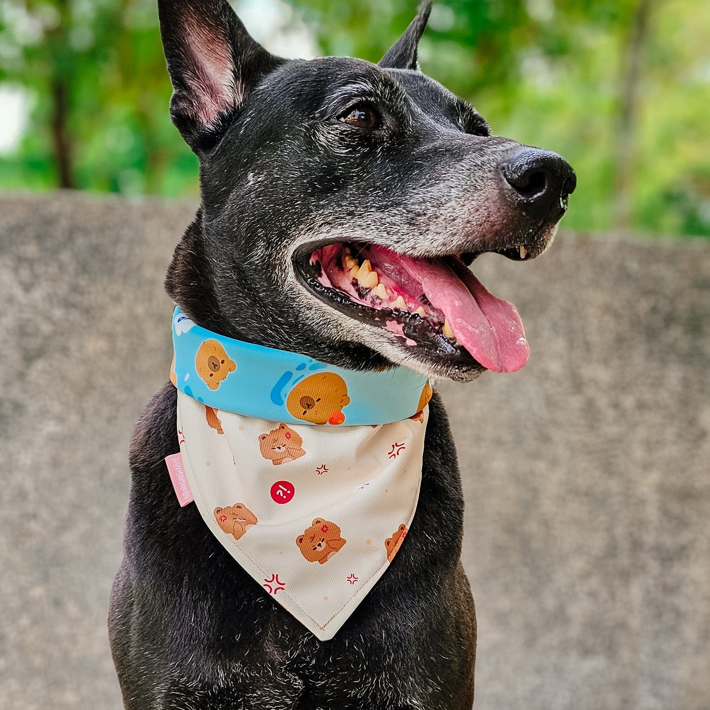 Beary Angry Reversible Bandana