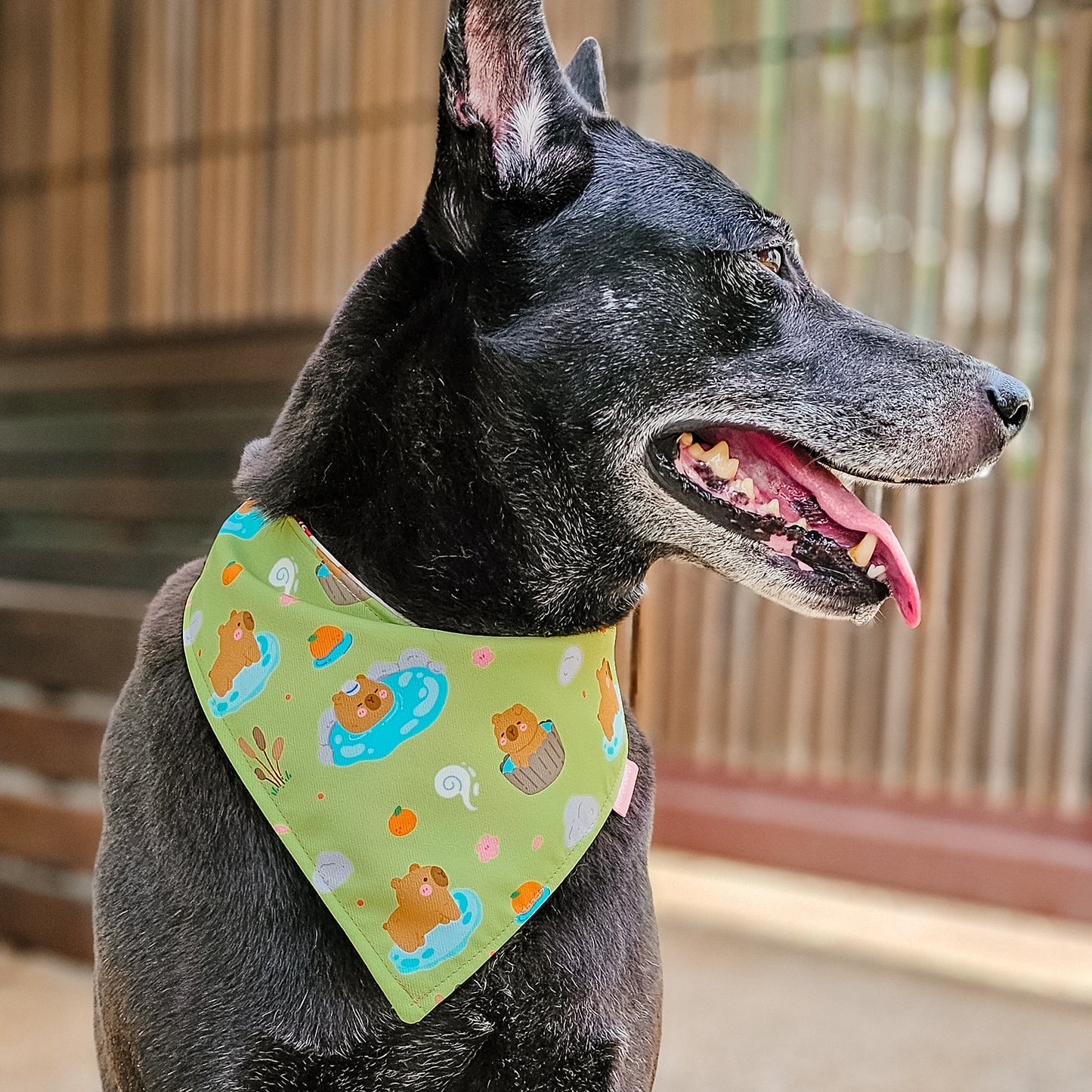 Capybara Onsen Reversible Bandana