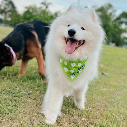 Fluffy Clouds Reversible Bandana