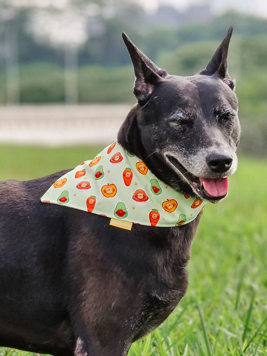 Fruits & Veggie Reversible Bandana