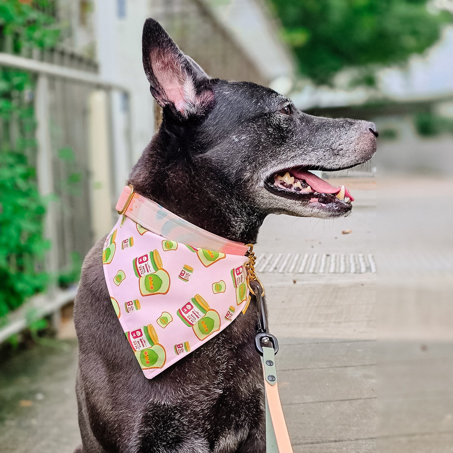 Ya-Kun Reversible Bandana