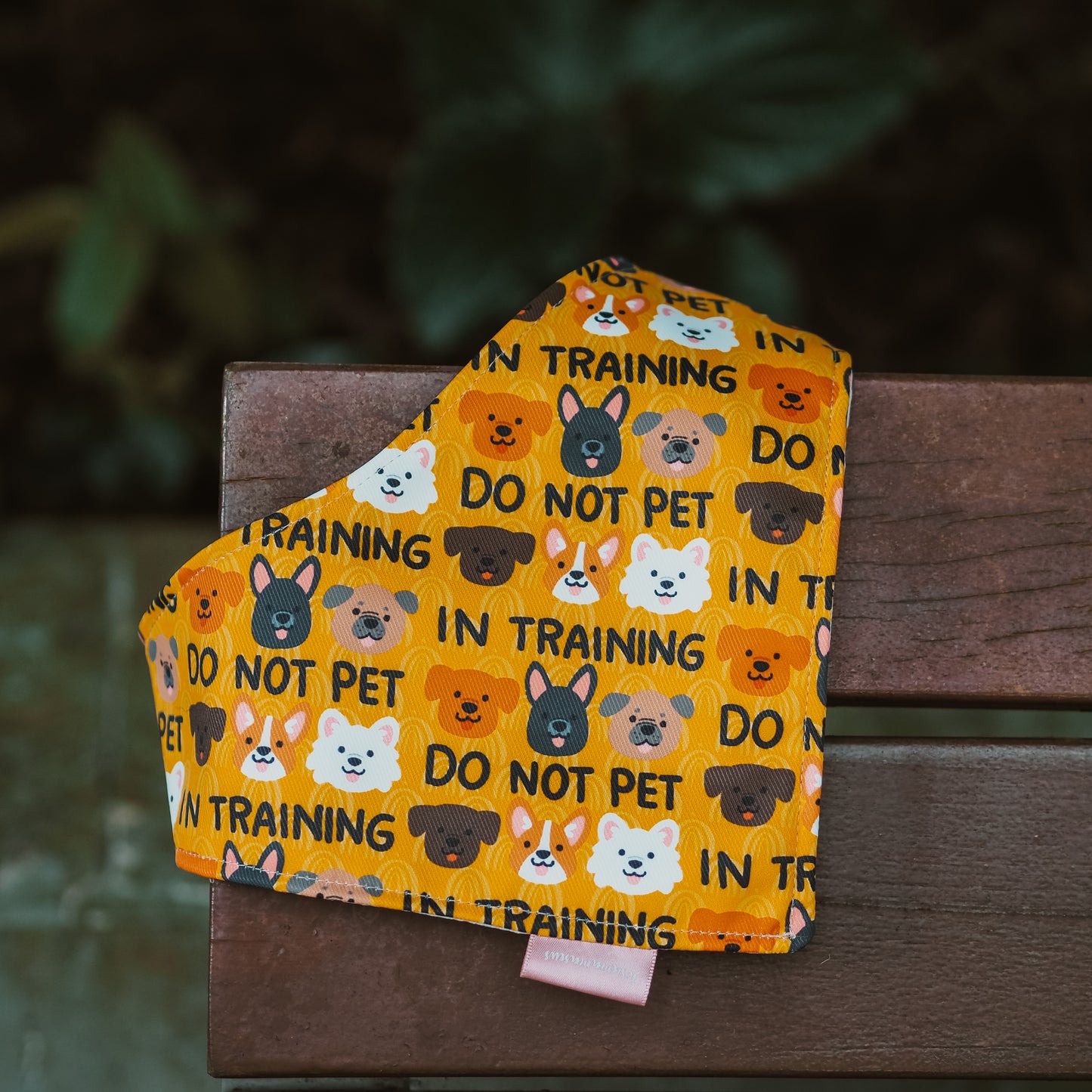 Do Not Pet / In Training Reversible Bandana