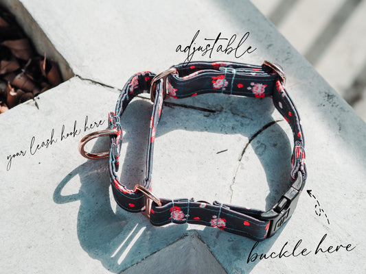 Hybrid Martingale Collar 1.5 Inch